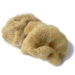 Jaderská mořská houba o průměru 8 - 10 cm